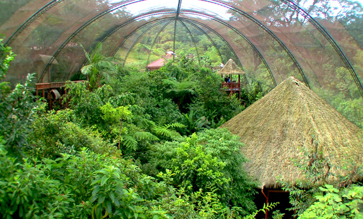 Jardines de La Paz